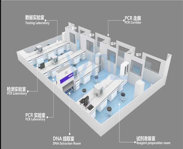 PCR實(shí)驗(yàn)室建設(shè) PCR實(shí)驗(yàn)室建設(shè)