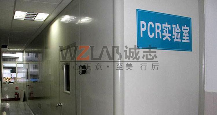 PCR實驗室建設(shè)時千萬別漏了這6點，尤其是最后一點最重要
