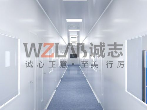 潔凈實(shí)驗(yàn)室有哪些?